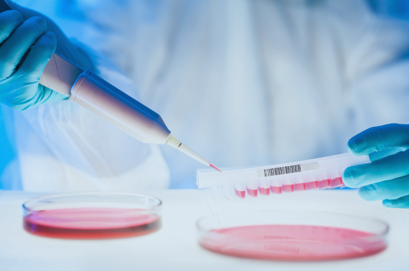Laboratory testing DNA