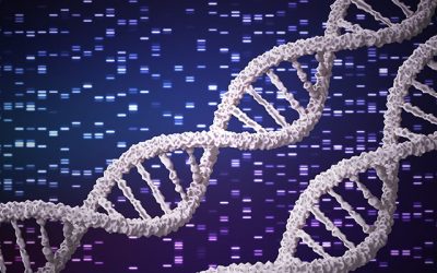Ashkenazi Jewish Population Based BRCA Testing