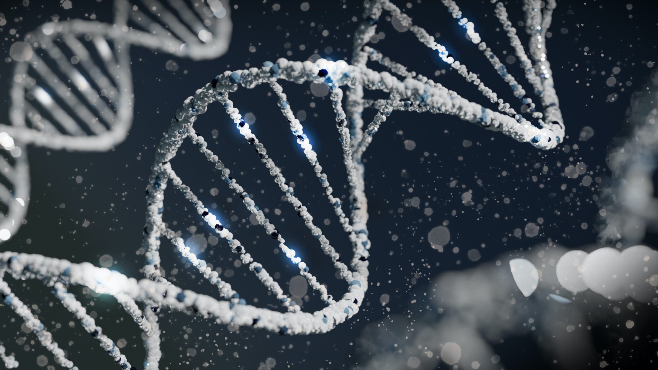 health genetic test MTFHR gene